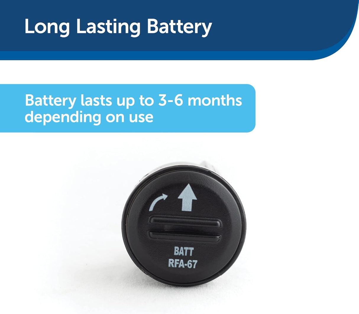 Llaves de gato Se adapta a identificación de collar