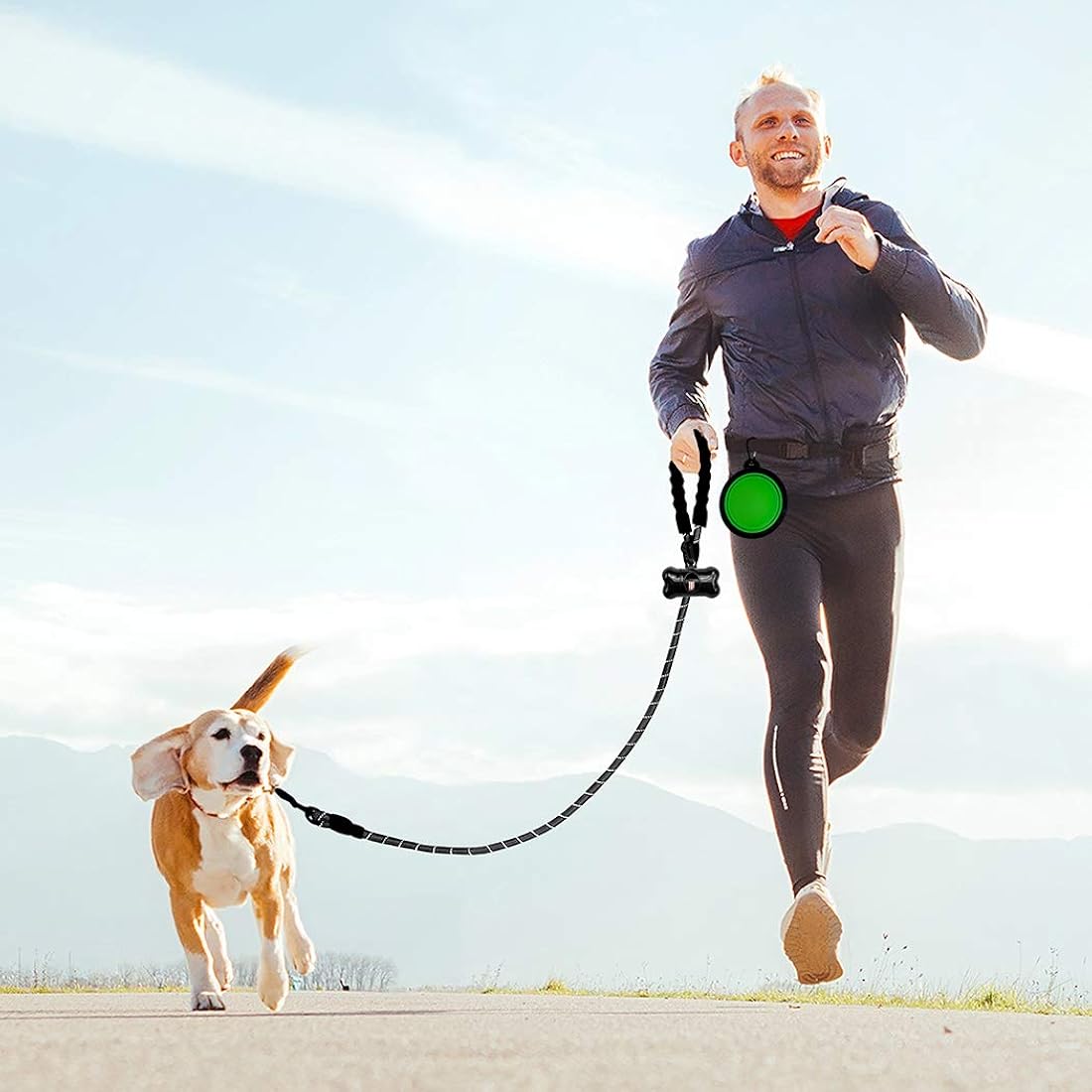correas para perros grandes