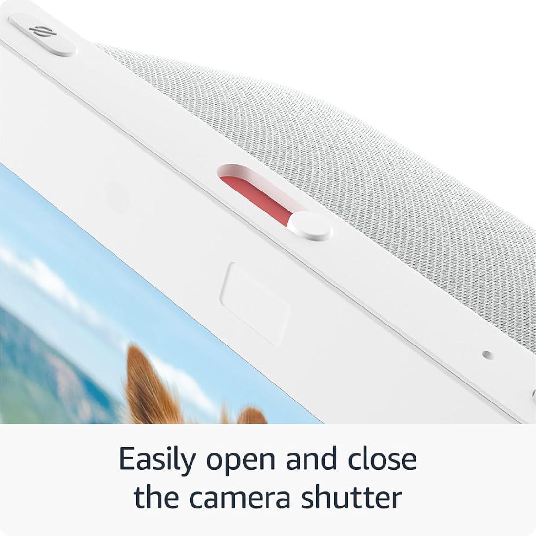 Nuevo Echo Show 8 (3.ª generación, modelo de 2023) glaciar