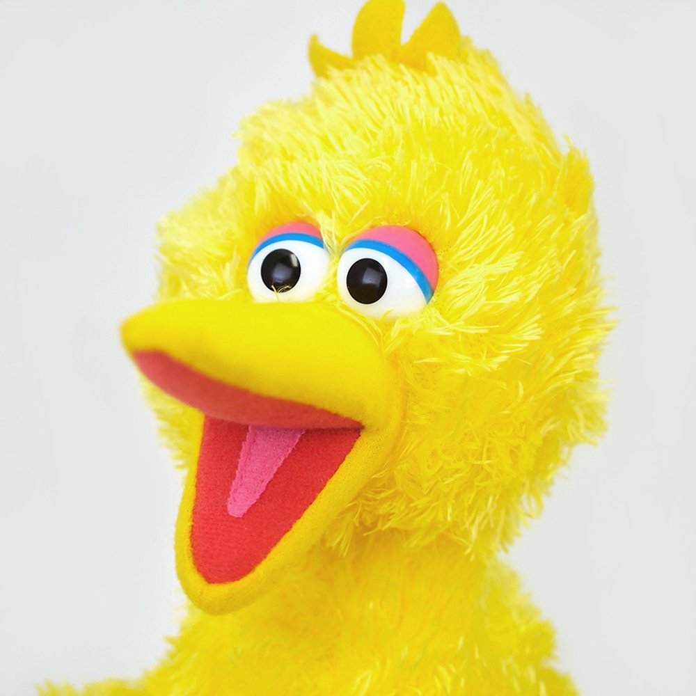 GUND Sesame Street Big Bird Stuffed Animal