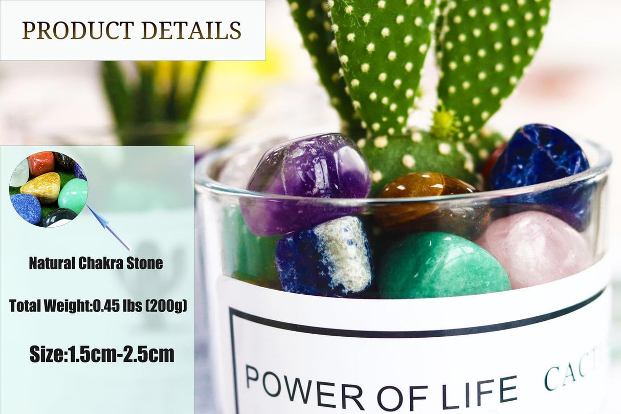 Juego de piedras de cristal para sanación de chakras 7 Pcs