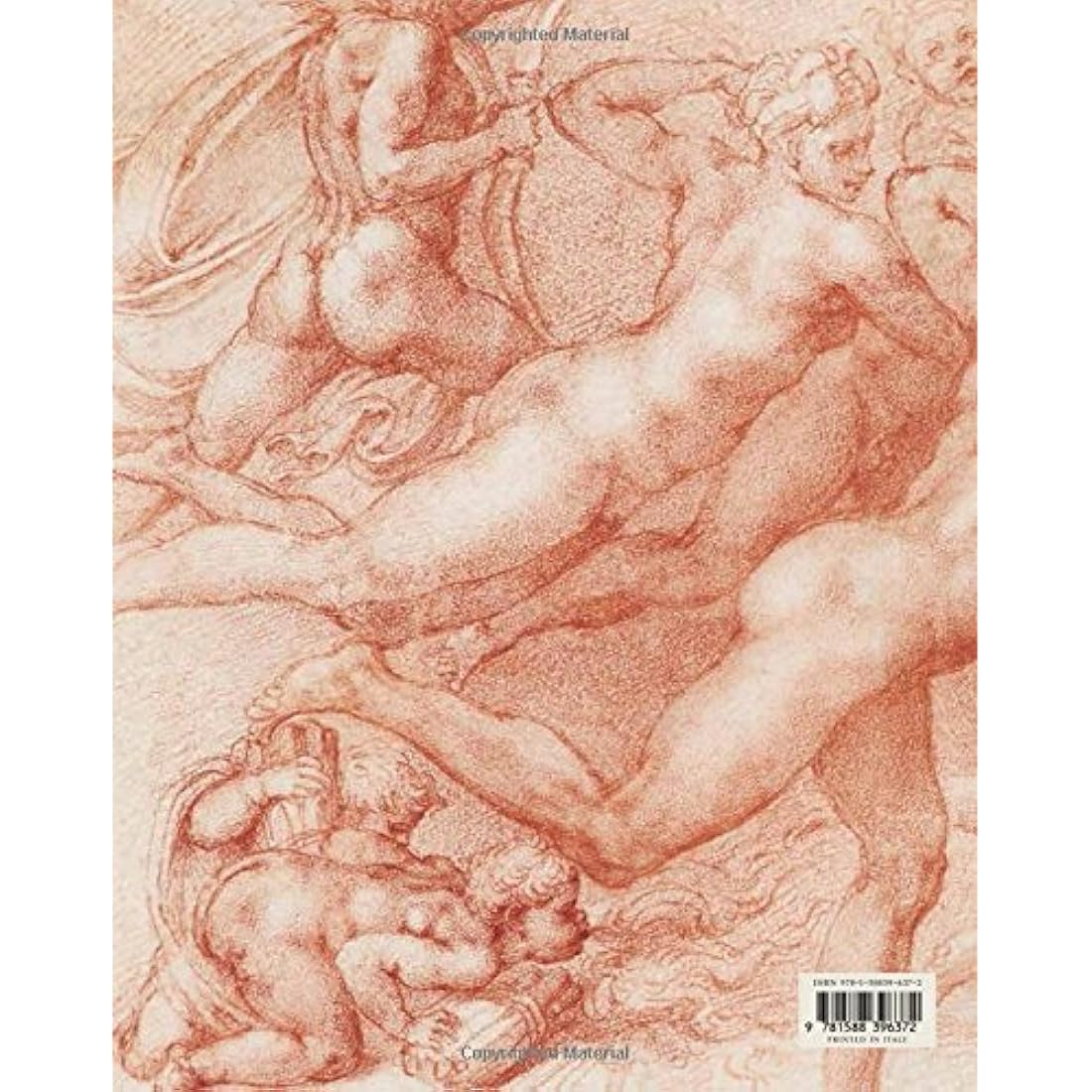 Libro: Michelangelo: Divine Draftsman and Designer
