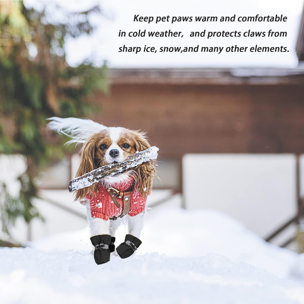 LUZGAT Botas de perro cálidas para perro, protector de patas de varias piezas para invierno, perros pequeños y medianos, con suela antideslizante y felpa, paquete de 8 (negro + negro, talla 1