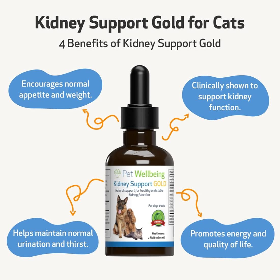 Suplementos Apoyo natural para la salud de riñón