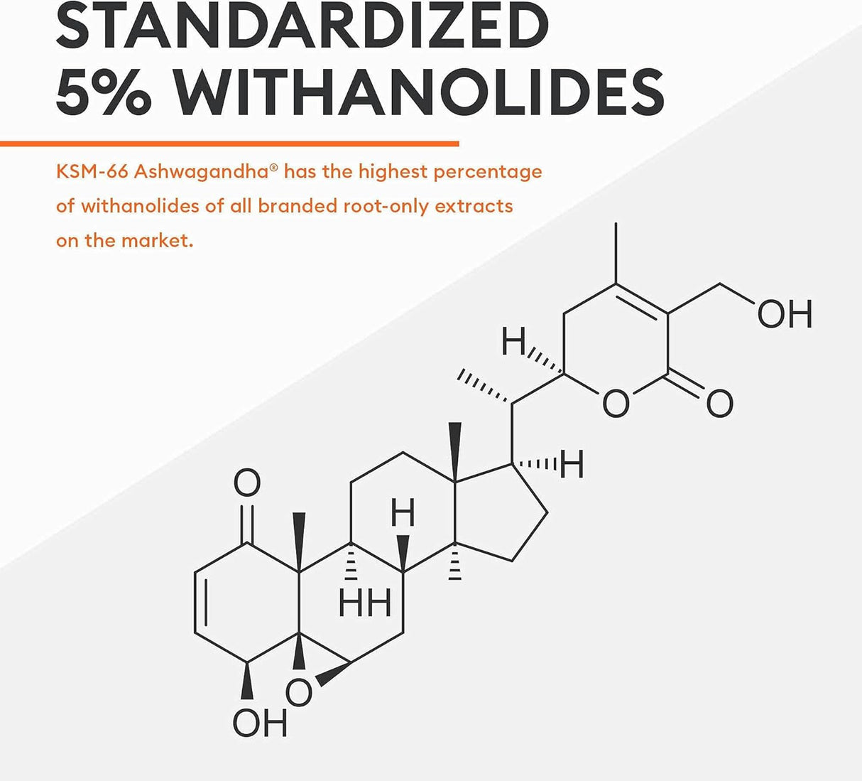 Suplementos Alimenticios extracto de polvo de raíz