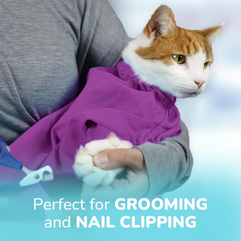 Transportador Cómodo Grande - Carrier Suave para Gatos