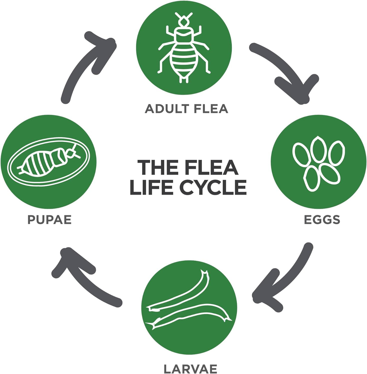Tratamiento contra pulgas para gatos grandes de 9 libras
