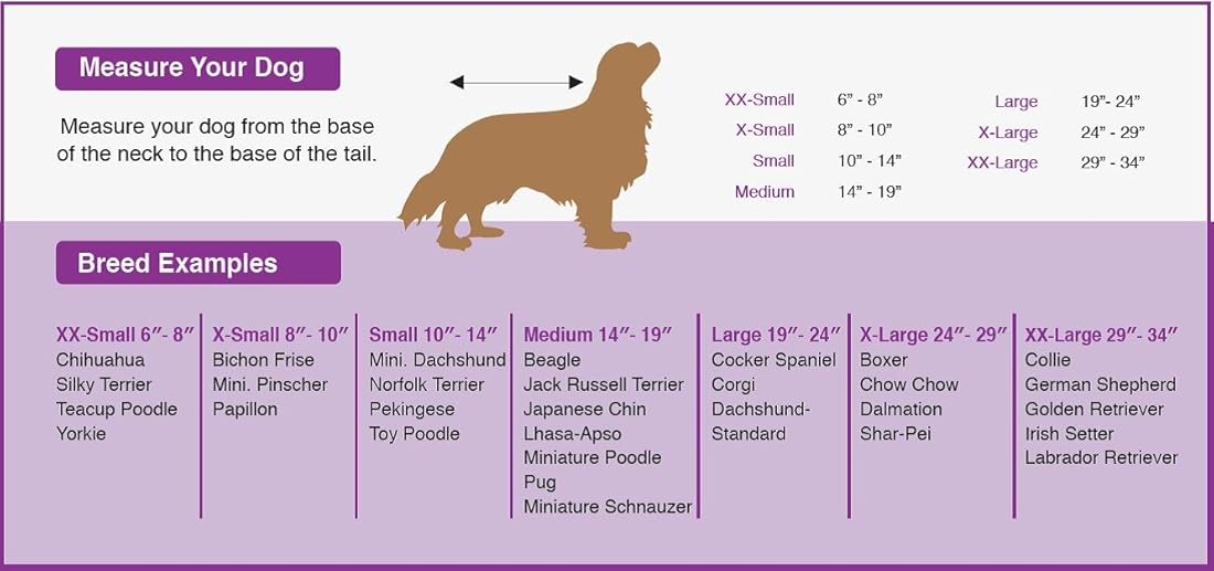 Poncho de lluvia para perros.