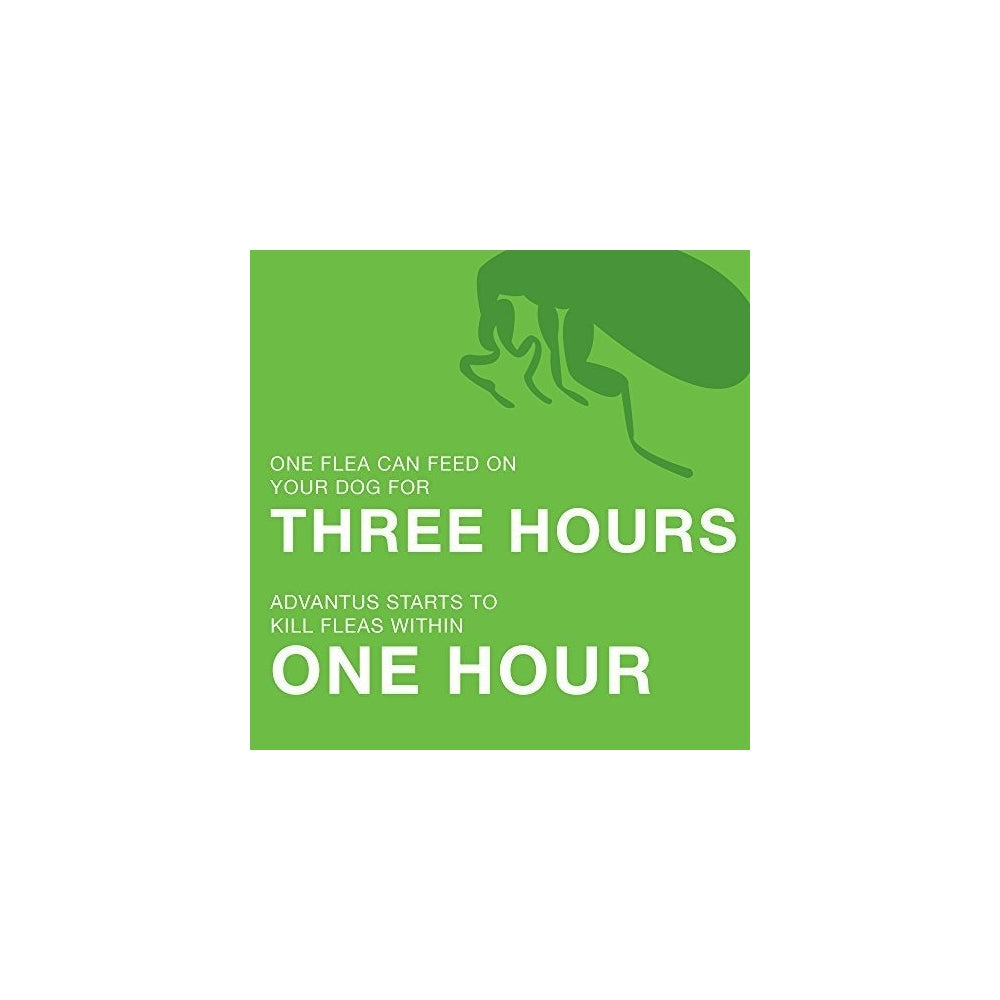 Antipulgas, Pulgas masticables para perros, Tratamiento