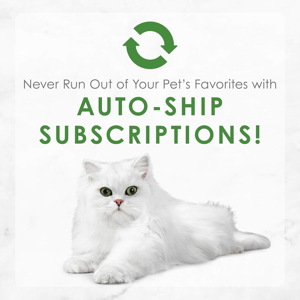 Alimento Comida húmeda enlatada para gatos adultos