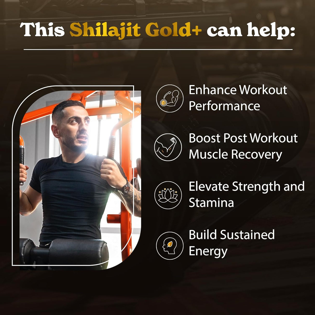 Pure Himalayan Shilajit Gold+ | Mejora recuperación y fuerza | 30g, Lab probado
