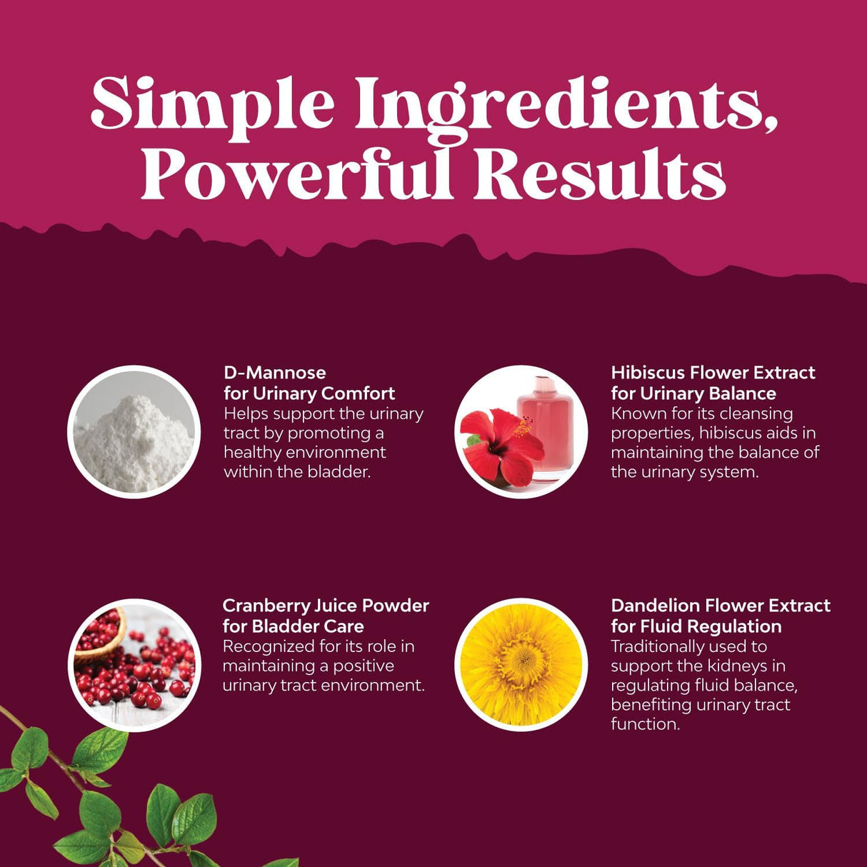 Cápsulas de D-manosa y arándano para el tracto urinario