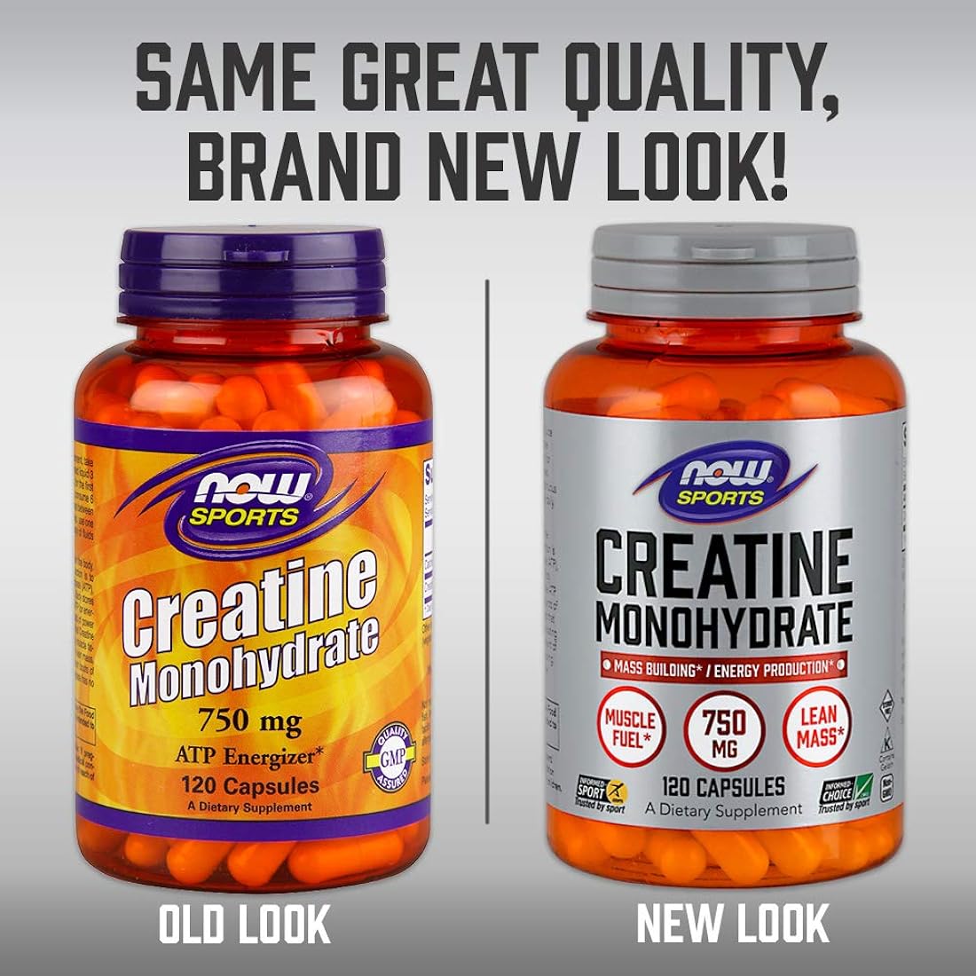 Suplementos Alimenticios deportiva monohidrato de creatina