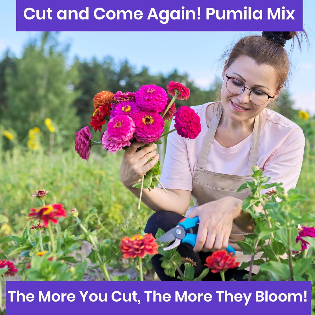 Semillas de Zinnia NatureZ, Pumila Mix, 4.2 g, al aire libre