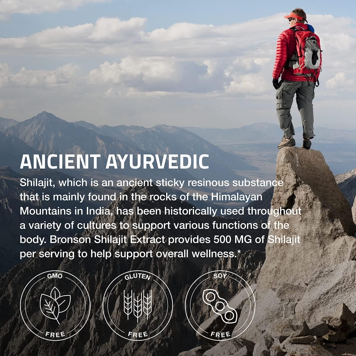 Suplemento Bronson Extracto de Shilajit de 500 mg 60 cáp