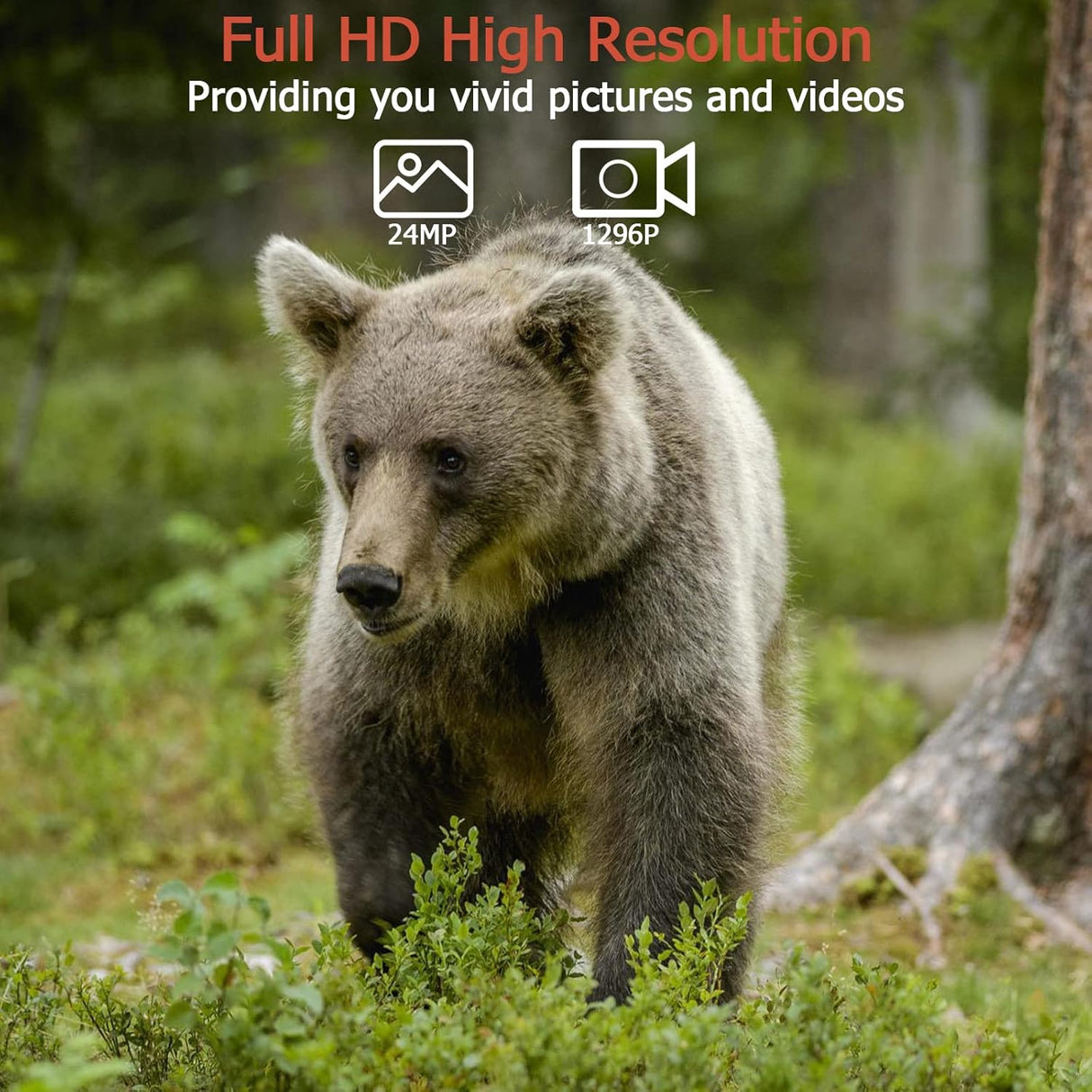 Cámara de Caza Trail&Game 32MP, 1296P, Visión Nocturna