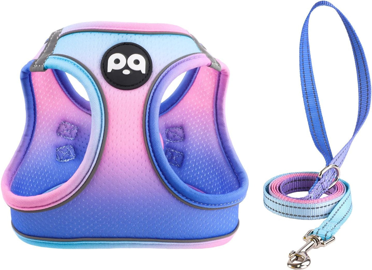 Arnés y Correa Ajustables para Gatos, con Tiras Reflectantes