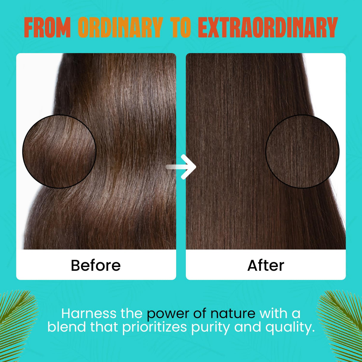 Aceite Batana Orgánico 100% Puro - Crecimiento y Fortalecimiento