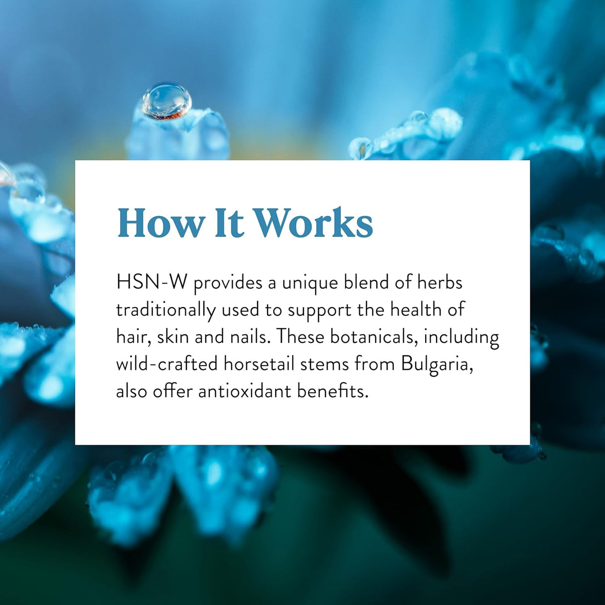 Cápsulas HSN-W para la Salud del Cabello, Piel y Uñas