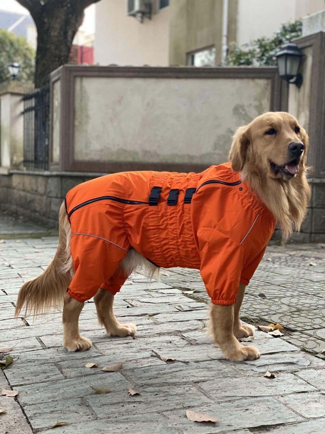 Chaqueta impermeable para perros, ligero, reflectante, XXL