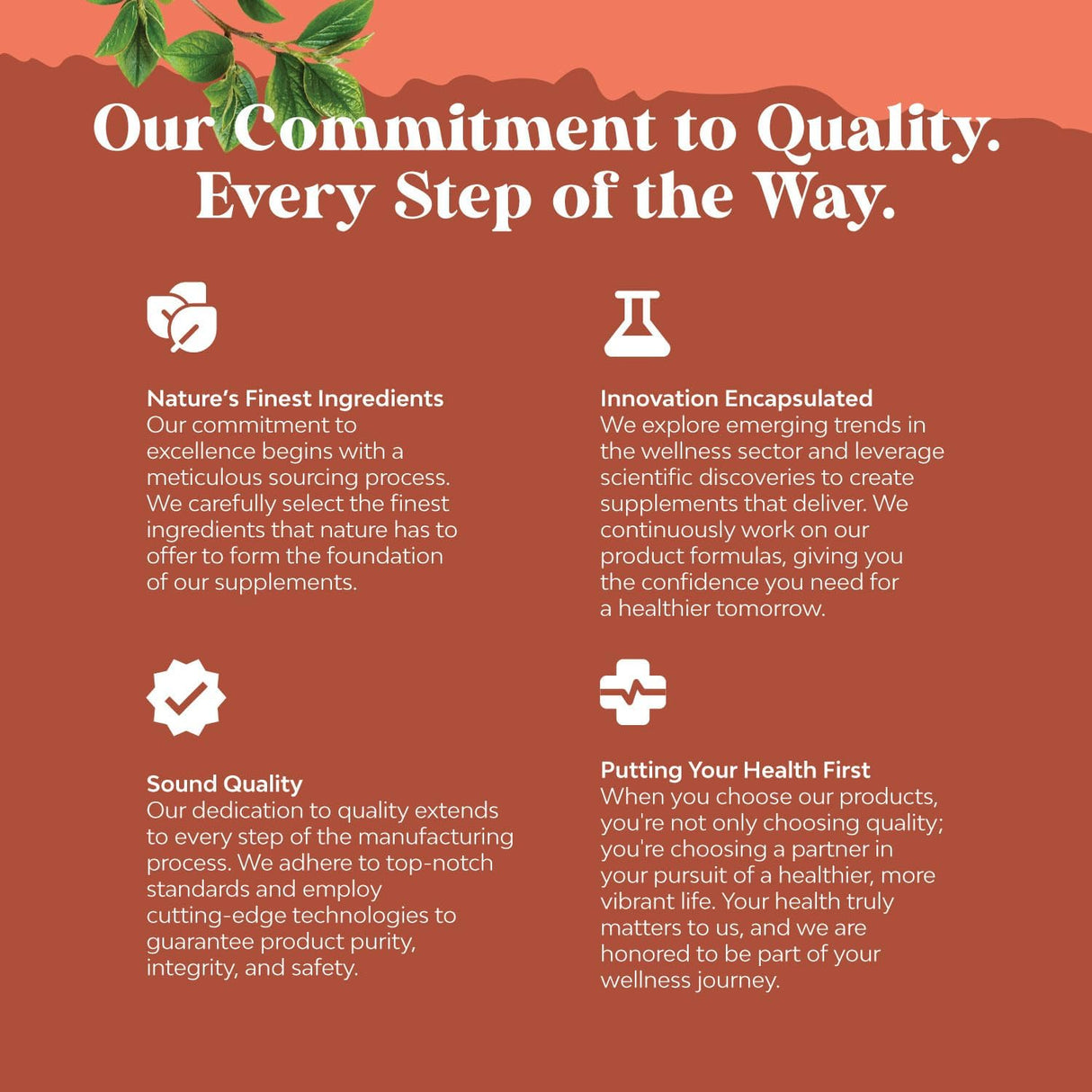 Suplemento de alto contenido de fibra vitaminas para adultos