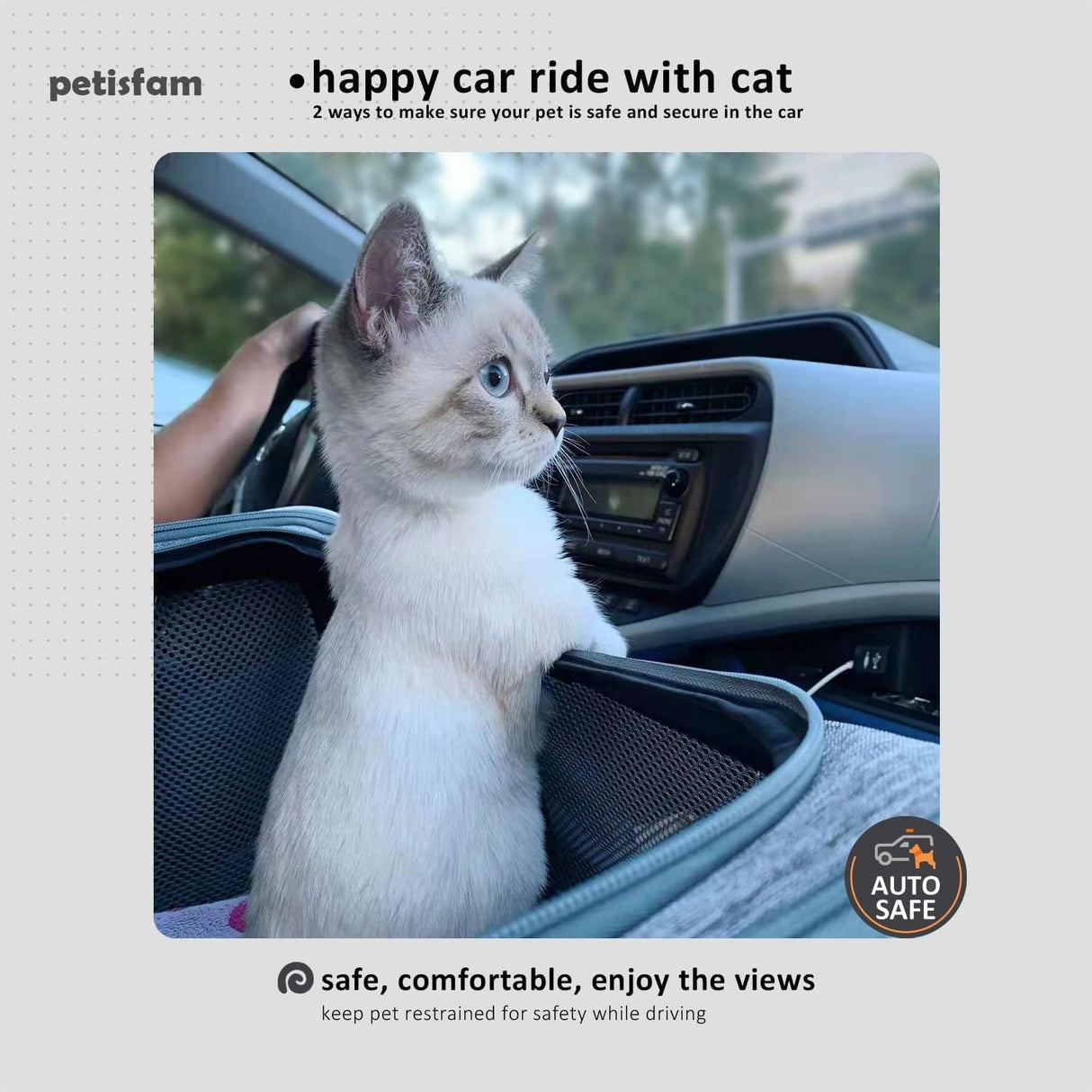 Transportadora para gatos y perros pequeños, petisfam, aprobada.