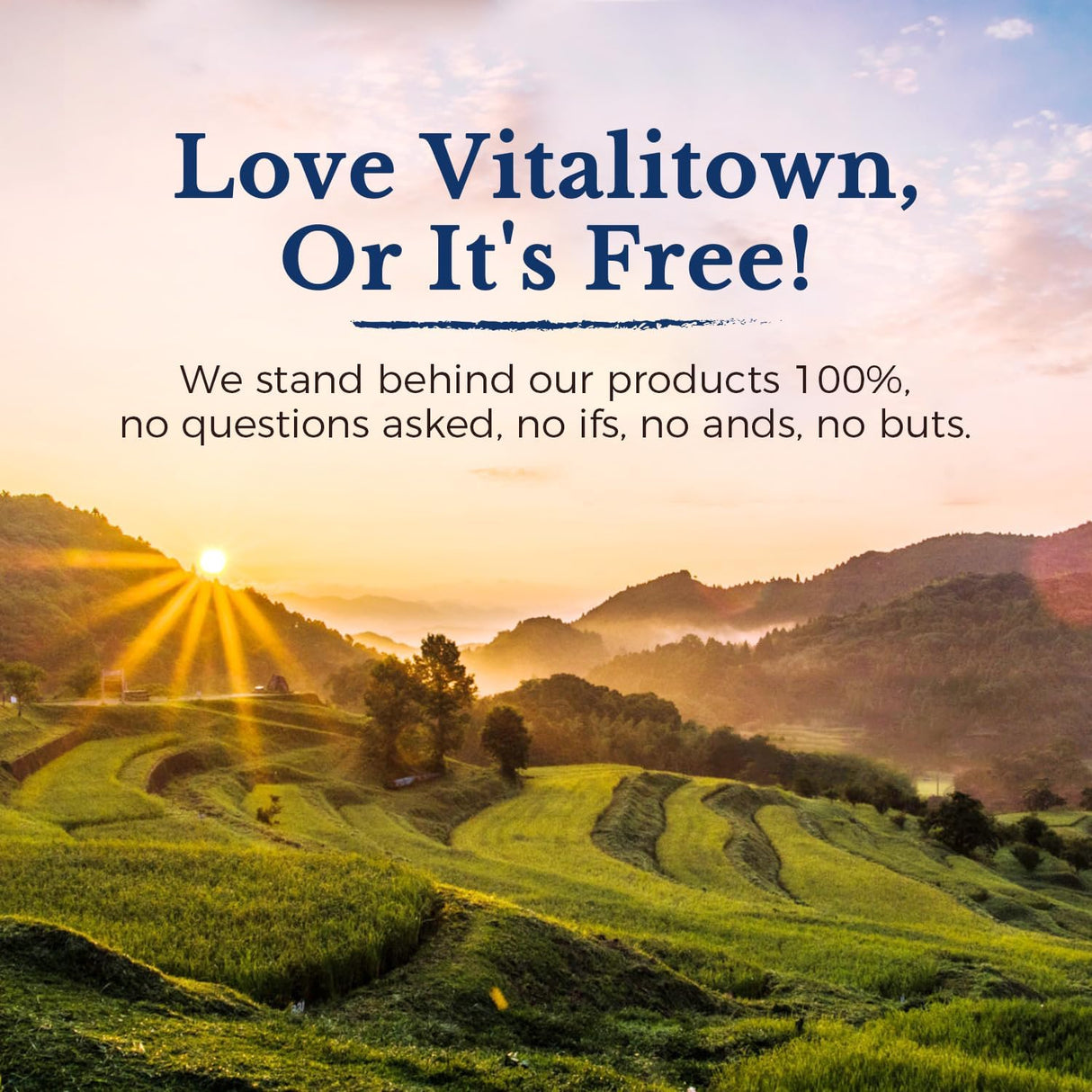 VITALITOWN Ácido hialurónico 250 mg de vitamina C