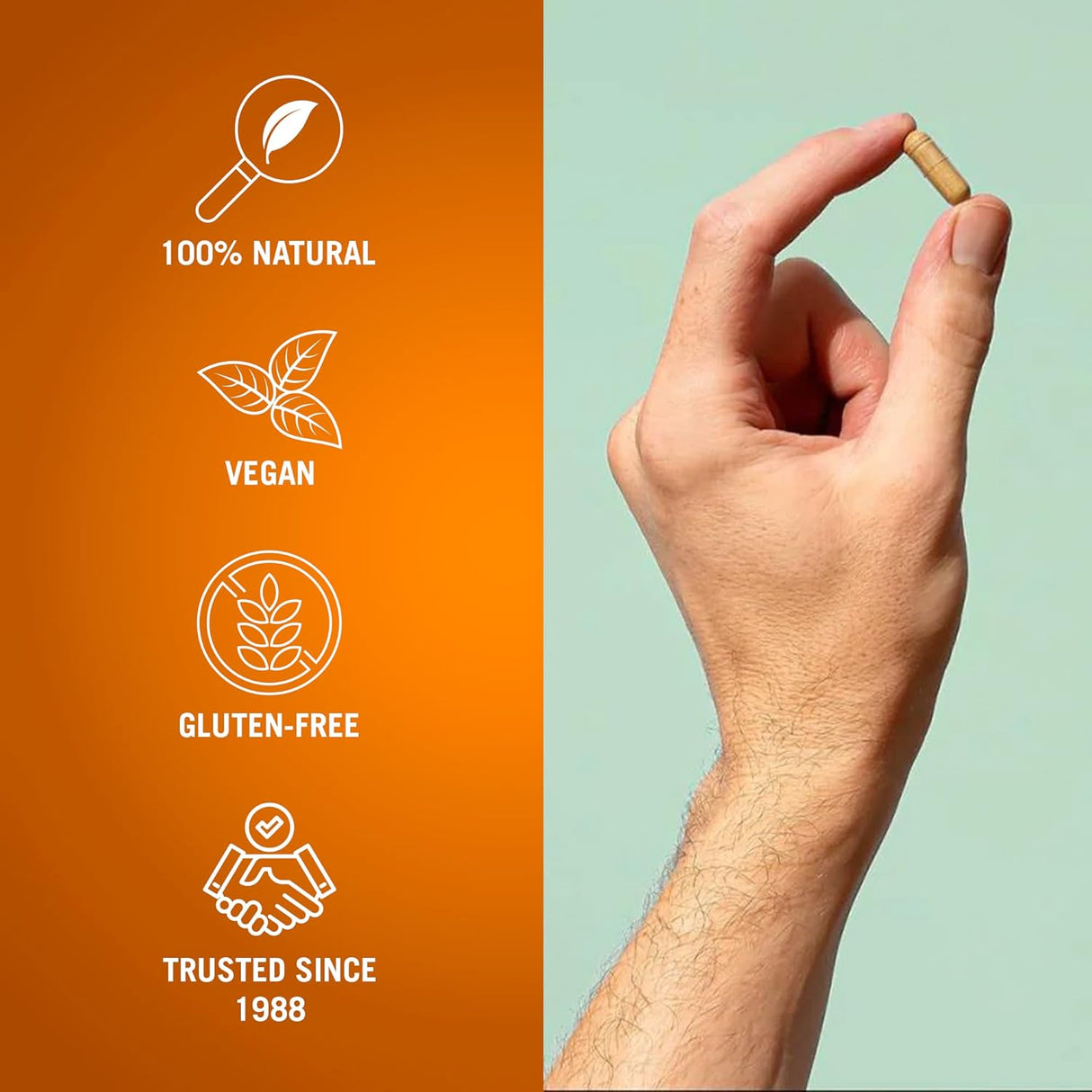 Suplementos apoya la salud intestinal 104 cápsulas