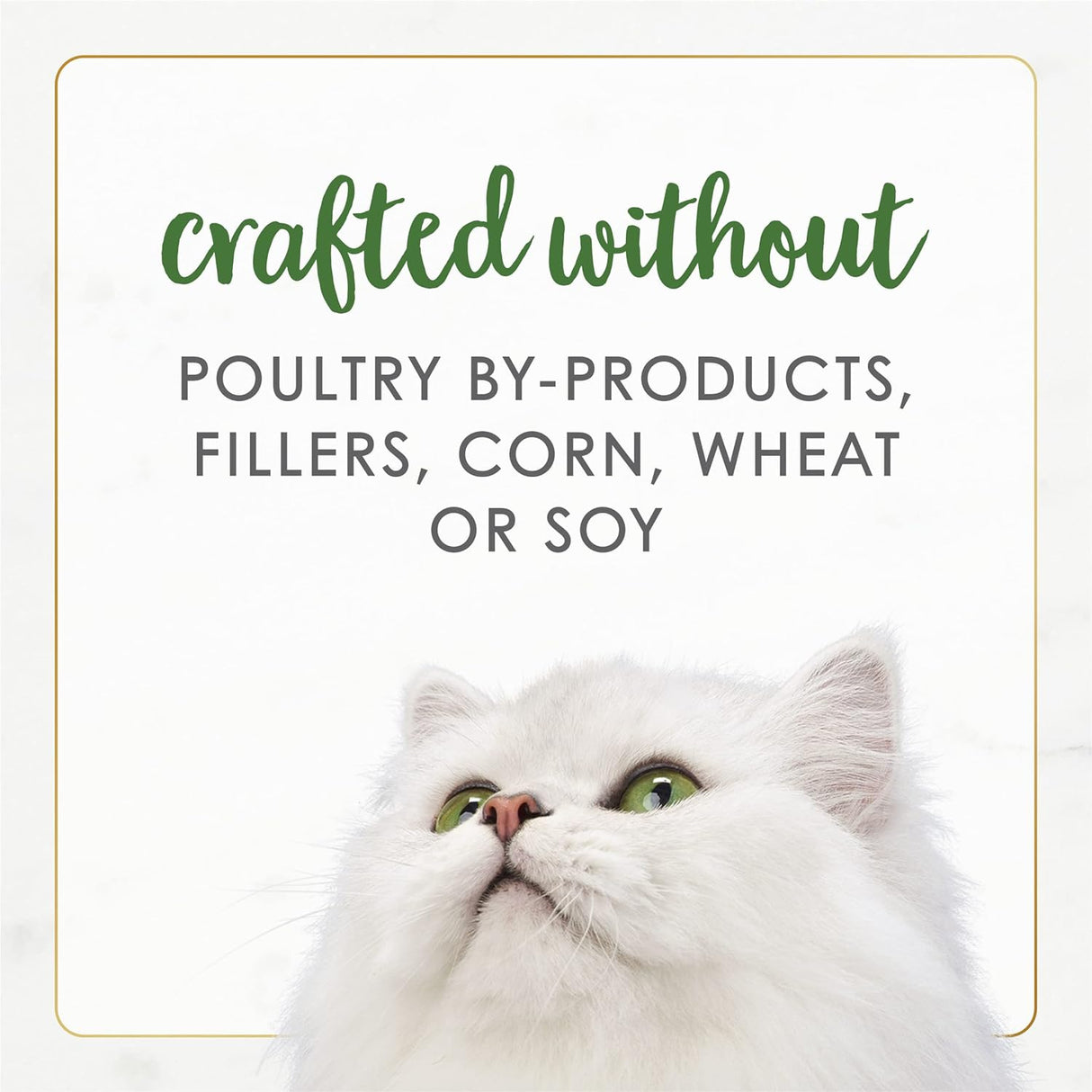 Alimento a húmeda enlatada para gatos adultos Paté Natural