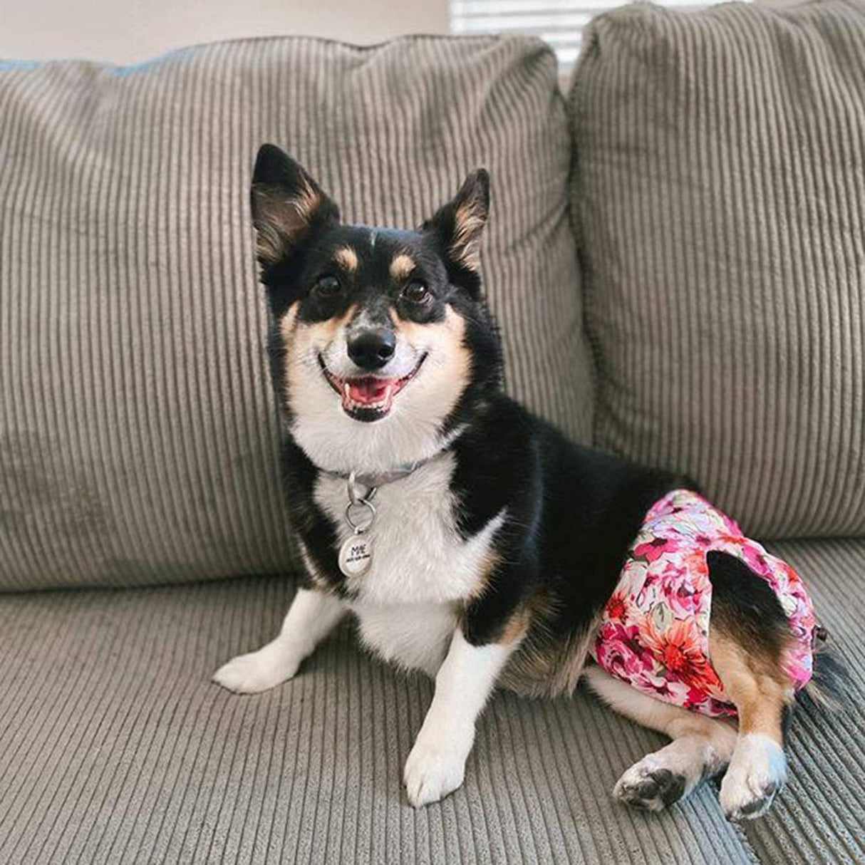 CuteBone - Pañales para perras talla M, D14M