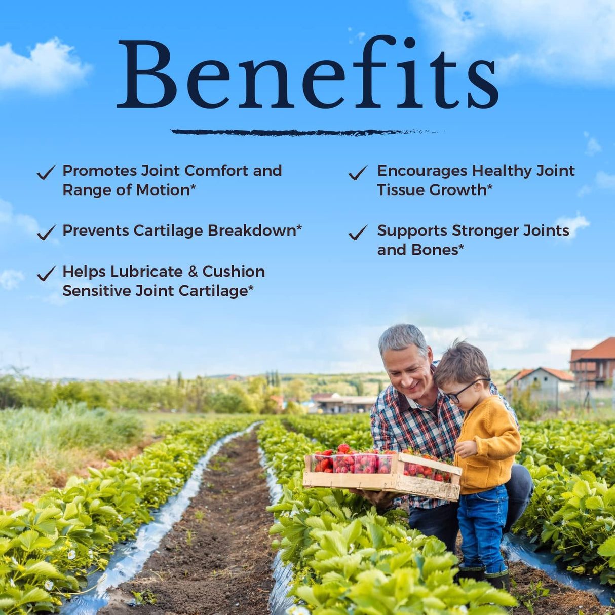 VITALITOWN Glucosamina condroitina MSM colágeno