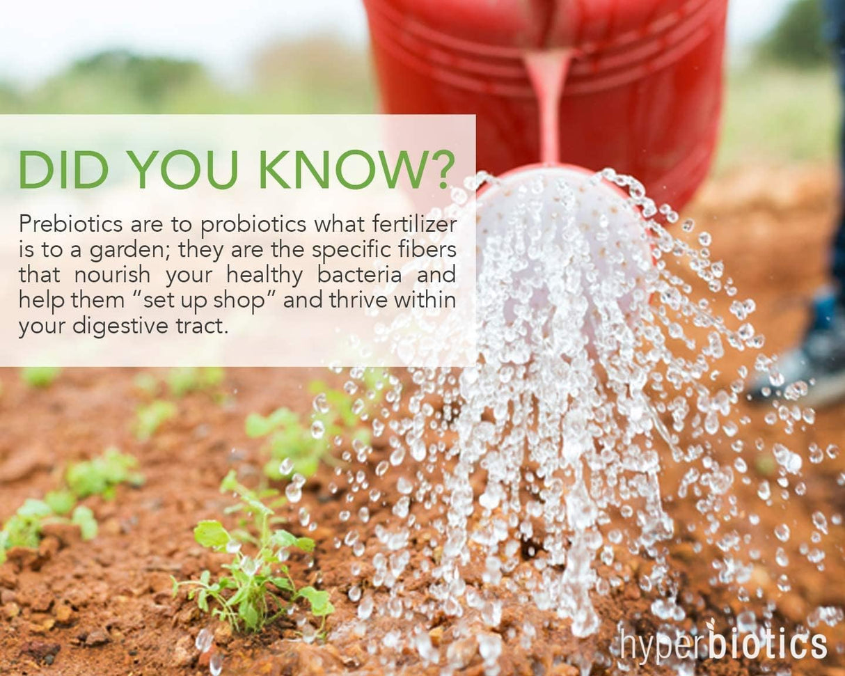 Suplementos Alimenticios Polvo prebiótico orgánico