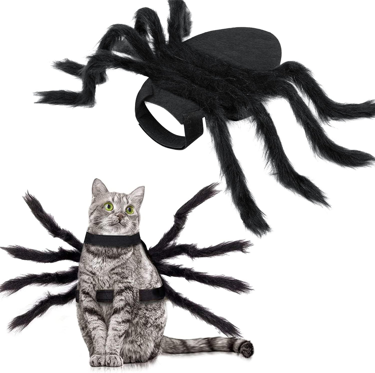 Disfraces de araña de Halloween para perro talla S