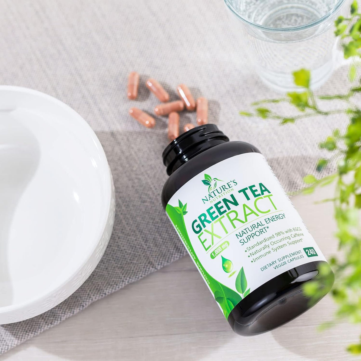 Suplemento Extracto de té verde 98% EGCG estandarizado 240u