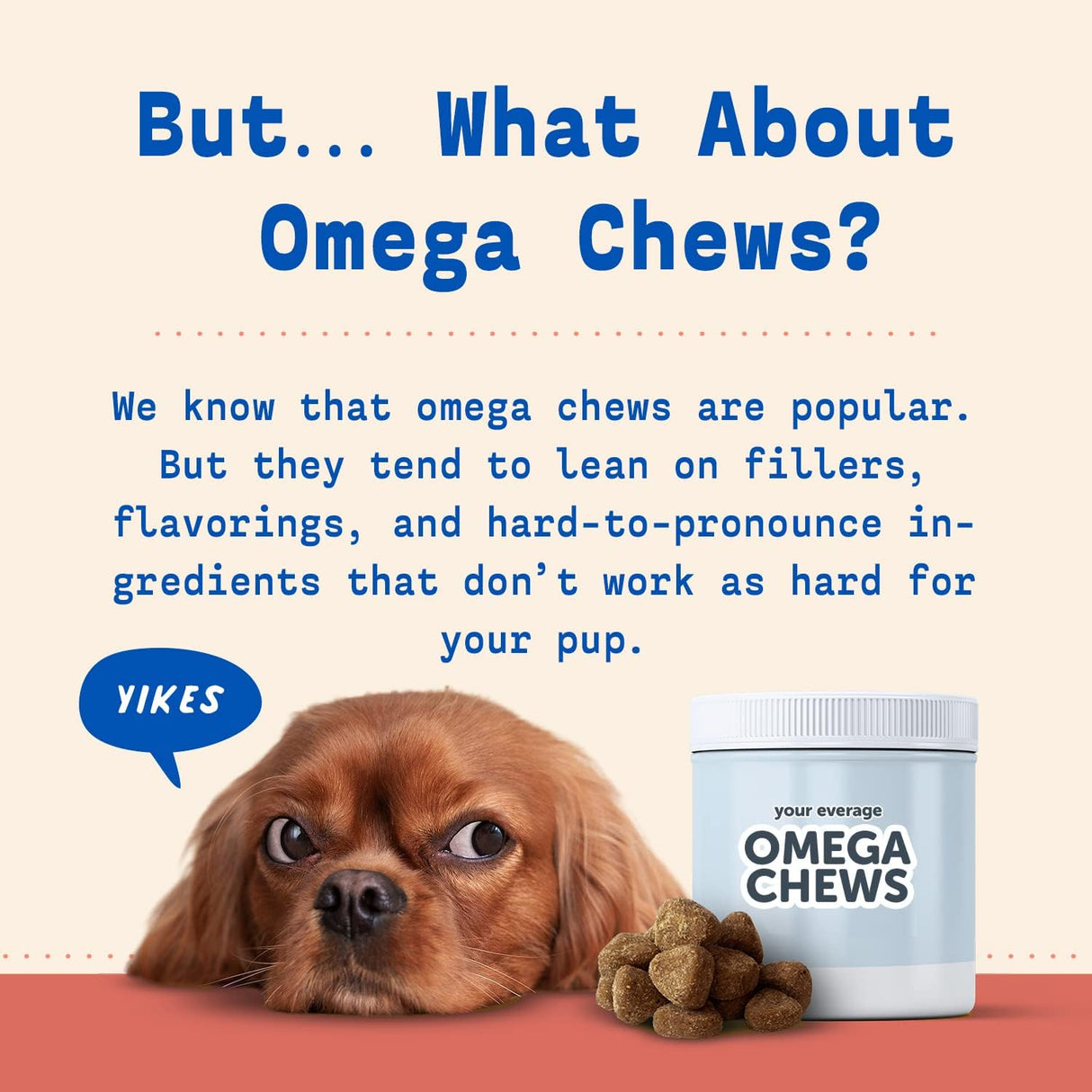 Vitaminas Suplementos de aceite de pescado para perros