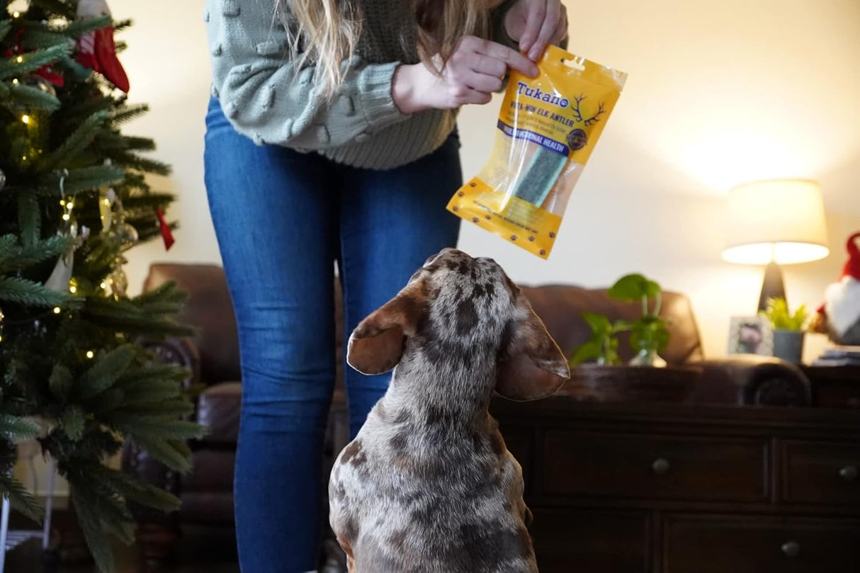 Vitaminas Cuernas de alce divididas de perros con vitaminas