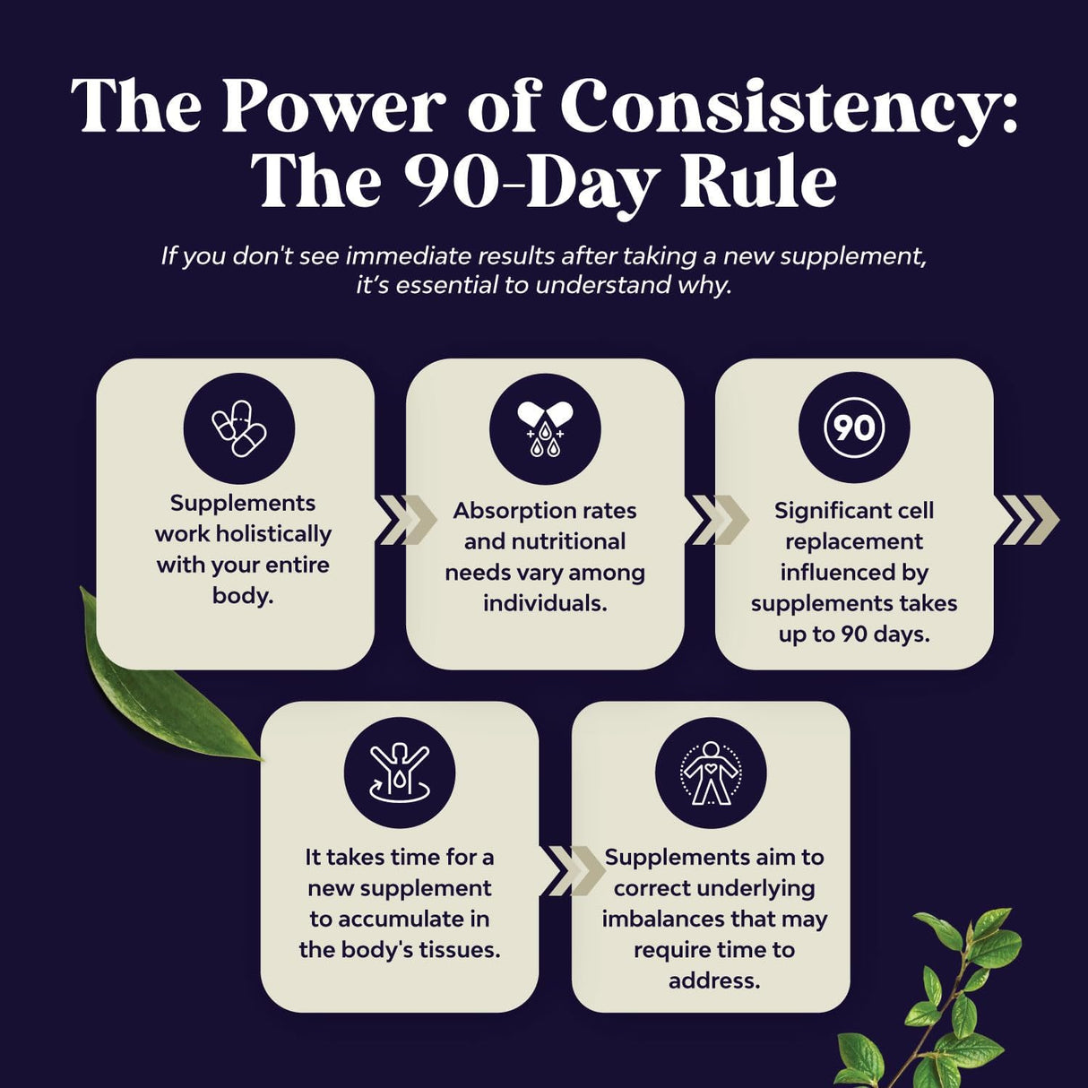 Cápsulas Veganas de Aceite de Semilla Negra con Omega 3, 6, 9