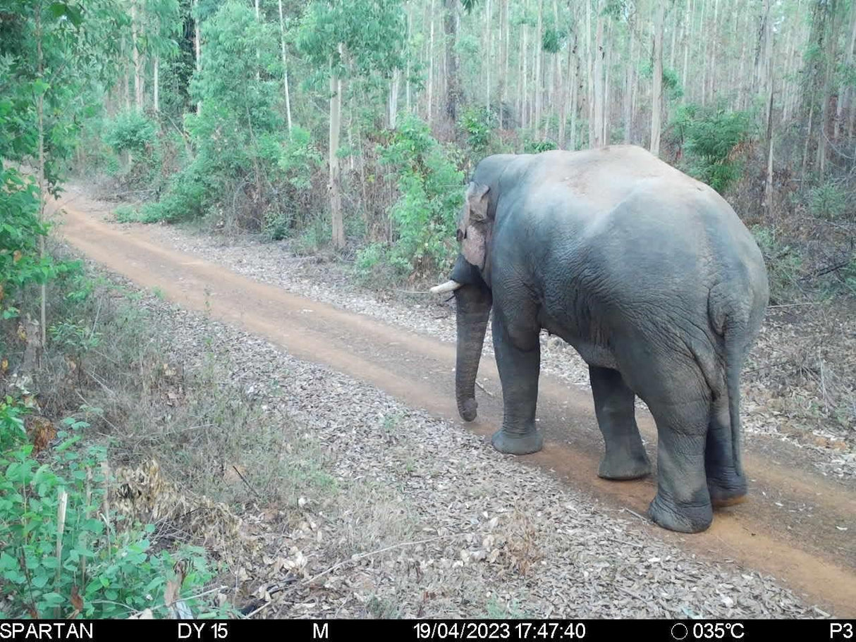 Cámara de Caza Spartan Gocam 4G LTE, HD Video, Modelo Areus