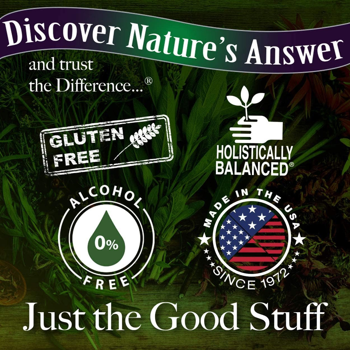 Ginkgo Leaf con Alcohol Orgánico | Función Cognitiva Energía