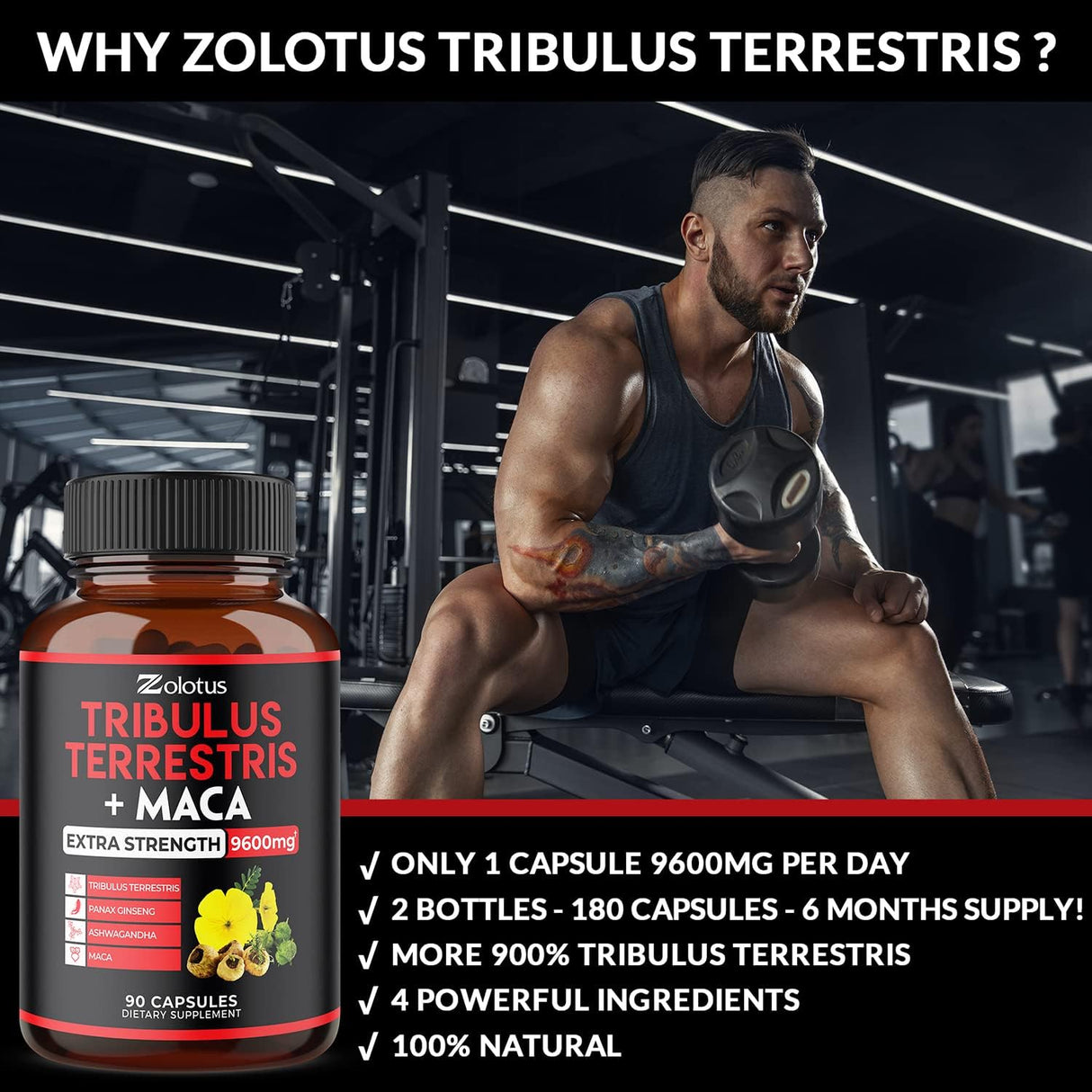 Suplementos 2 paquetes Premium Tribulus Terrestris + Maca