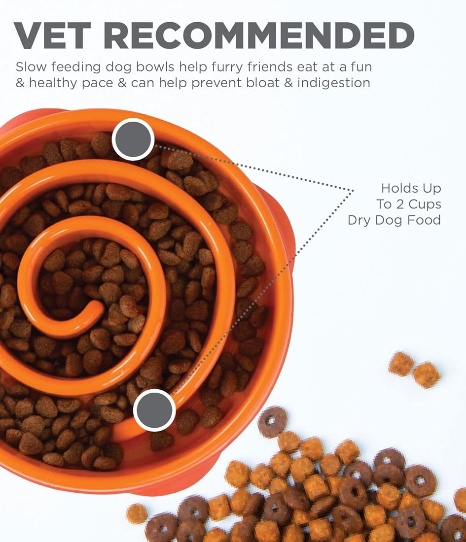 Comedero para perros