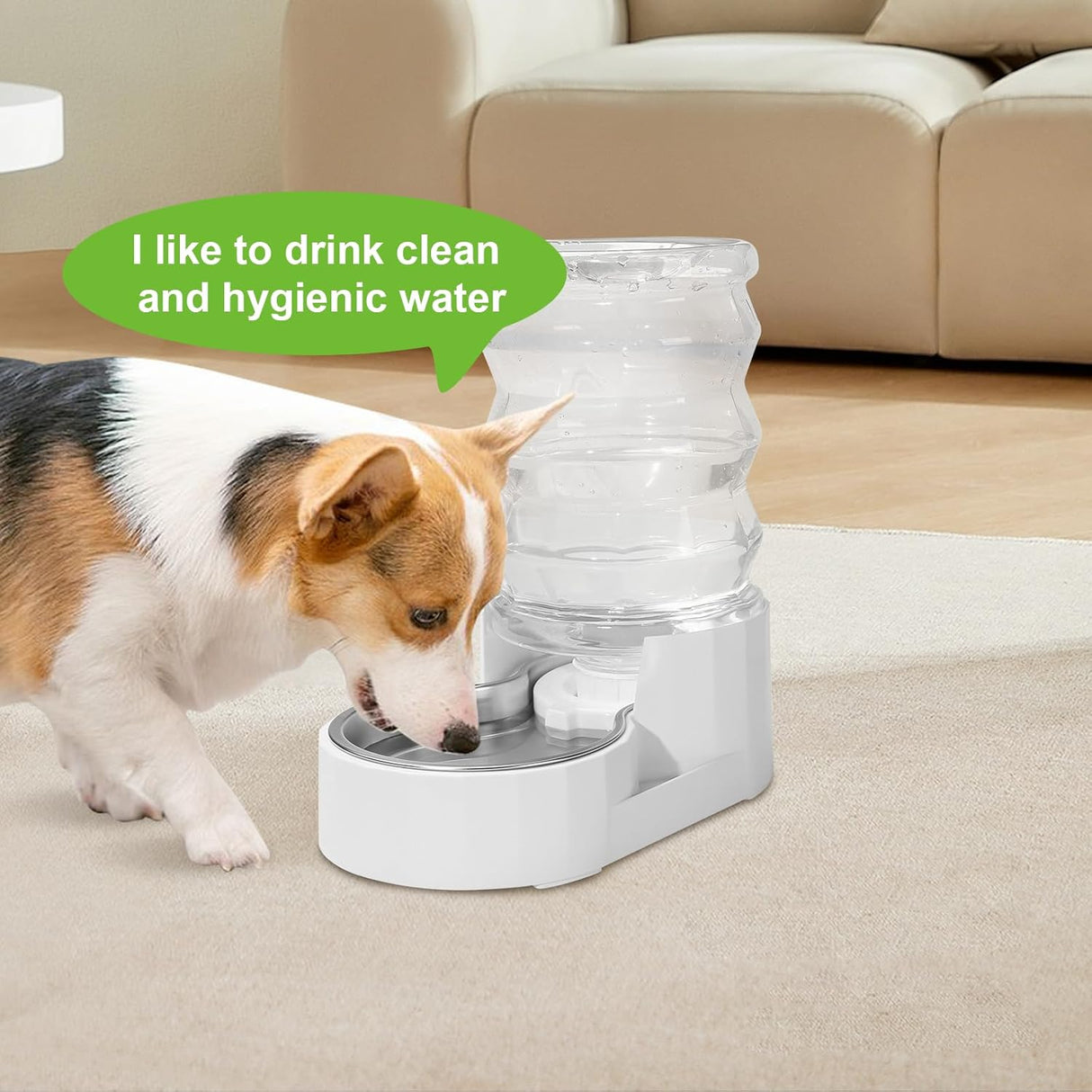 Filtros para dispensador de agua para perros, 4 Pcs, 3L/8L