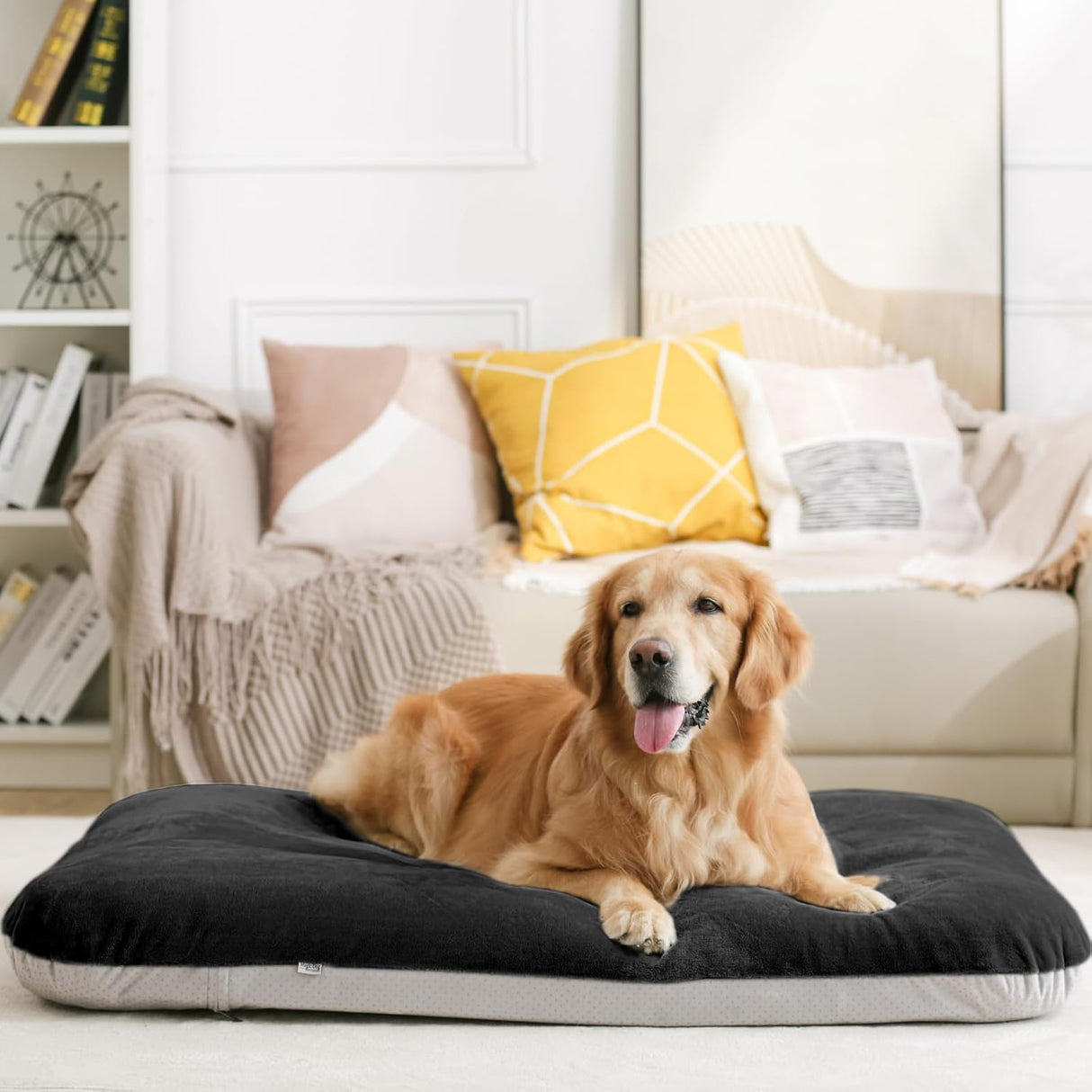 Cama ortopédica para perros XL Magic Dog, 47 pulgadas, suave