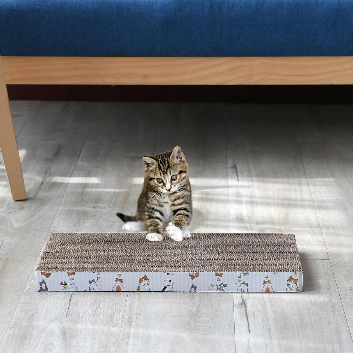 Paquete de 5 almohadillas para rascar gatos reversibles