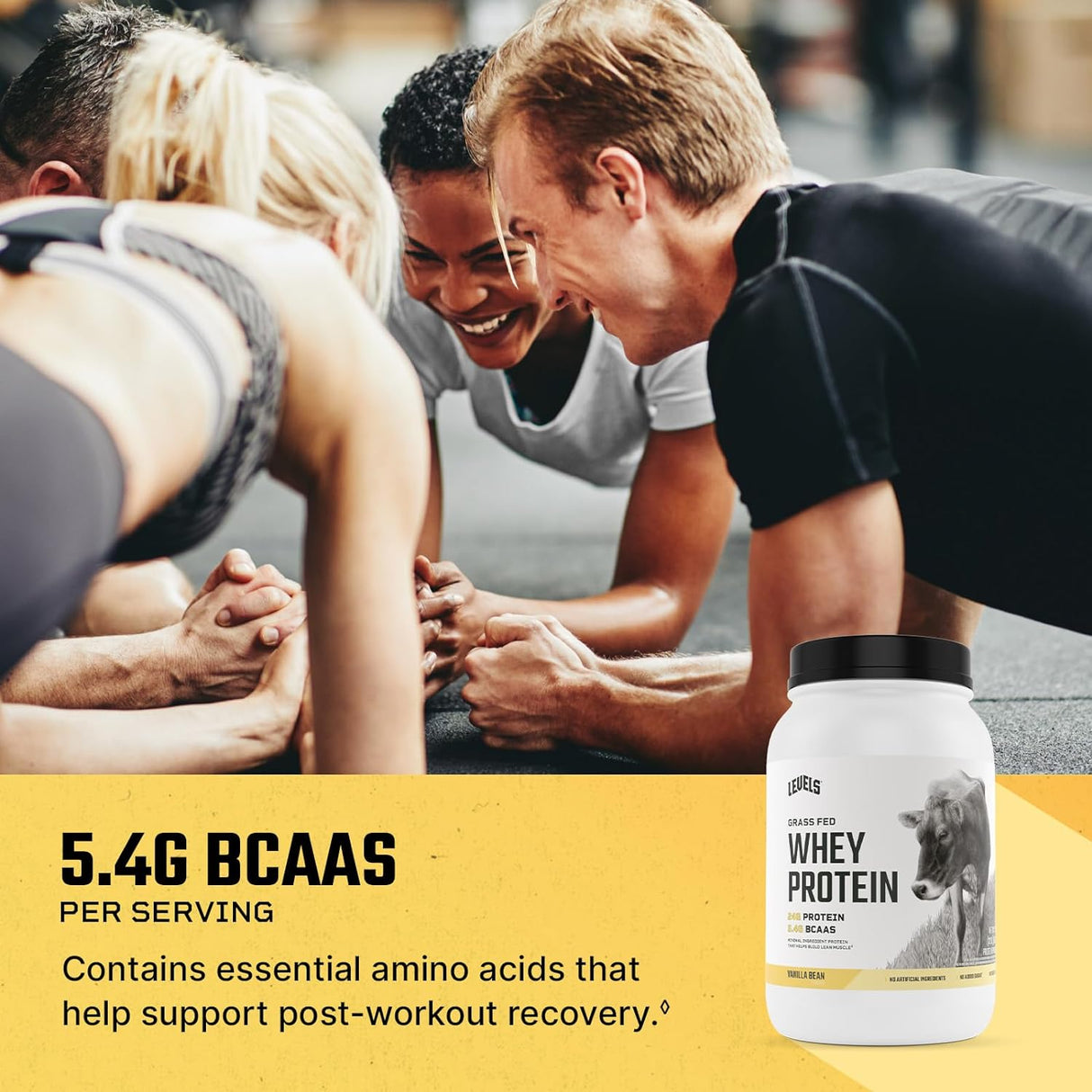 Proteína de Suero Grass Fed, Levels, 24G, 2LB, Sin Artificiales