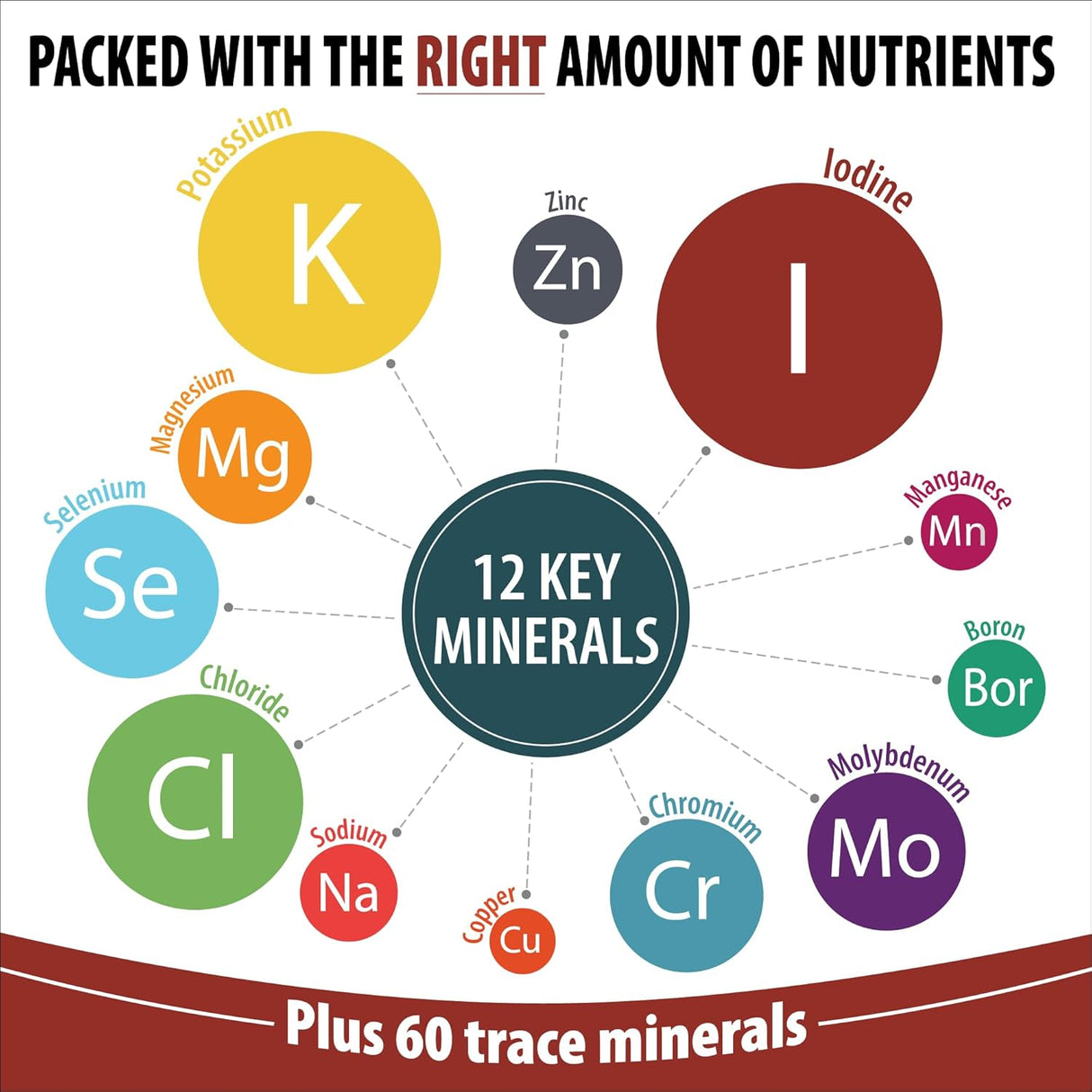 Complejo de Minerales Traza | Espectro Completo | Gotas Líquidas para Agua | Hidratación Electrolytes 2 oz
