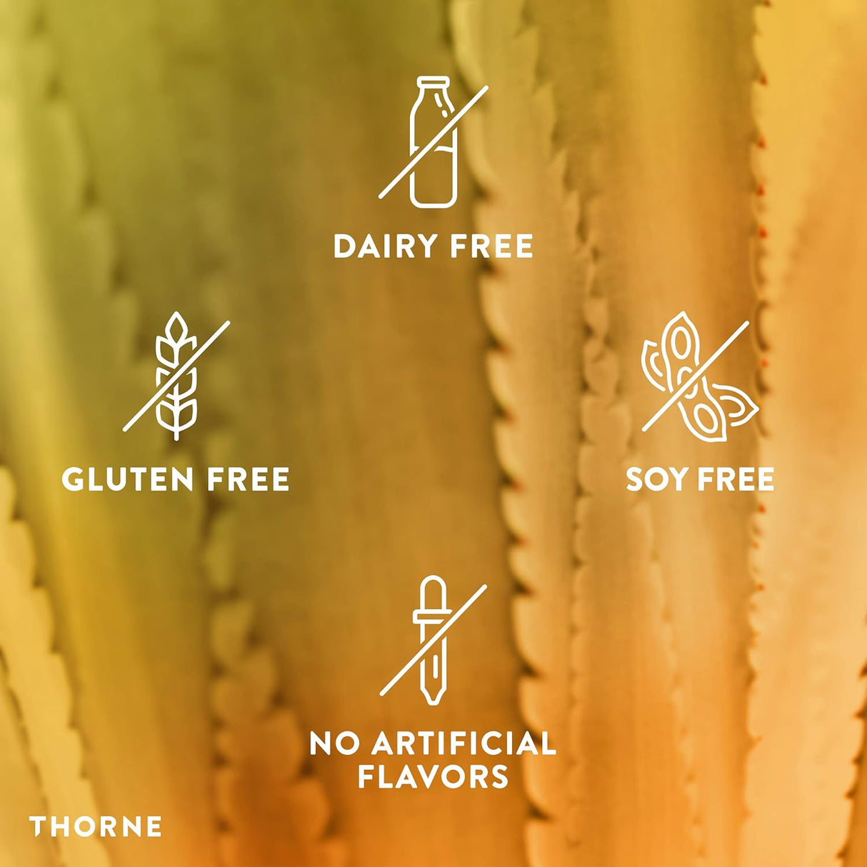 Suplementos Thorne Bacillus Coagulans Probiótico 60 cápsulas