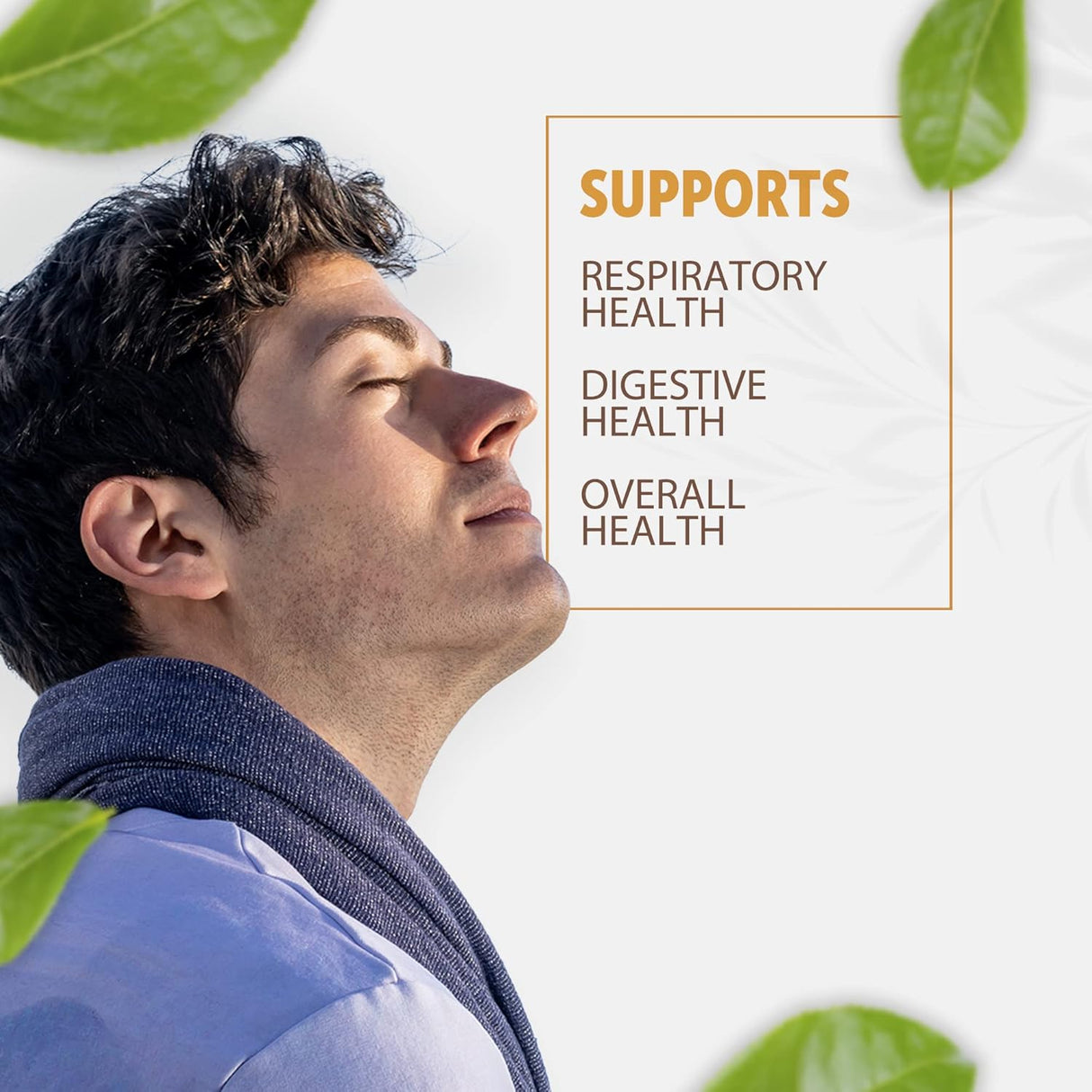 Cápsulas de Regaliz Ultra Puro 900 mg | 200 Conteo | No GMO