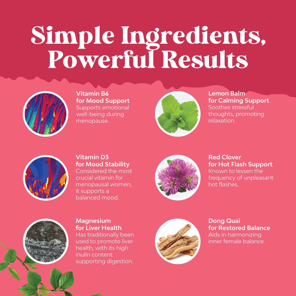 Suplemento completo para la menopausia herbaria para mujeres
