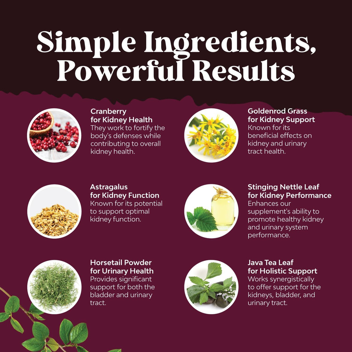 Suplemento Píldoras de arándano para limpieza y apoyo renal